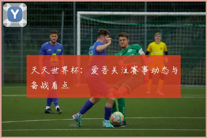 天天世界杯：爱吾关注赛事动态与备战看点