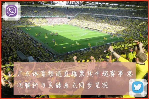 广东体育频道直播聚焦中超赛事 赛况解析与关键看点同步呈现