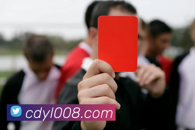 投注app官网APP 体育赛事宣传图